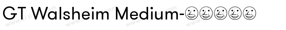 GT Walsheim Medium字体转换